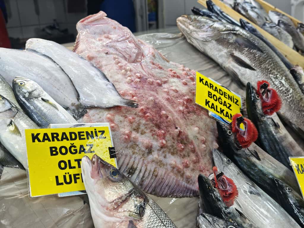 Reis Balıkçılık Balıkesir