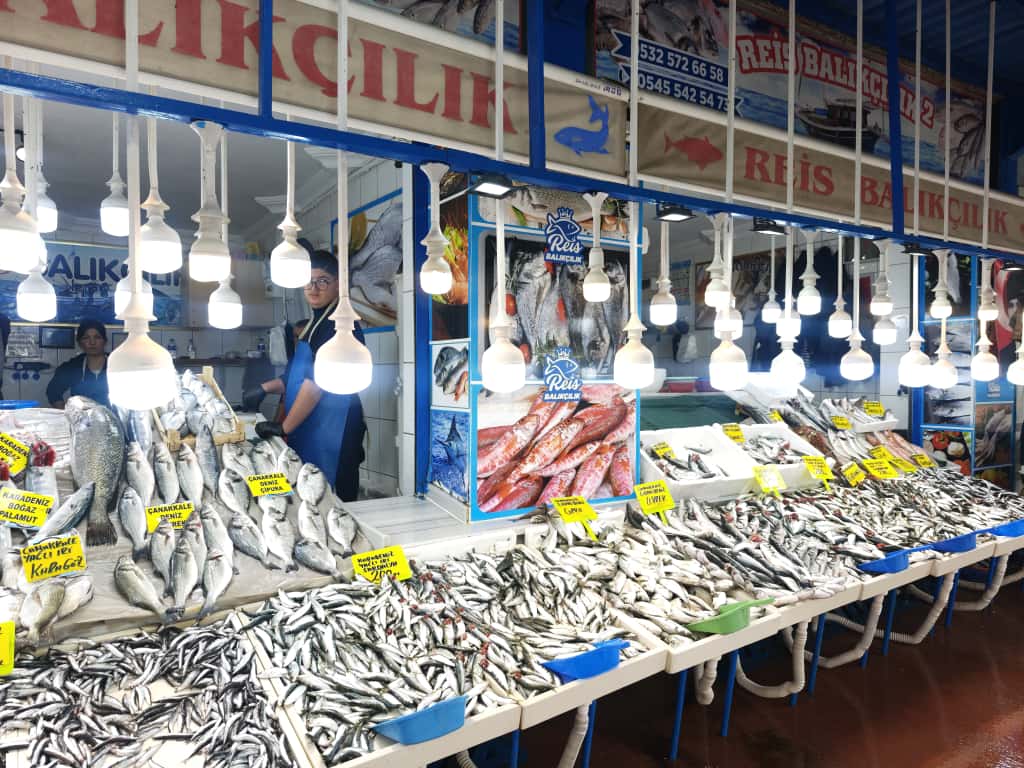 Reis Balıkçılık Balıkesir