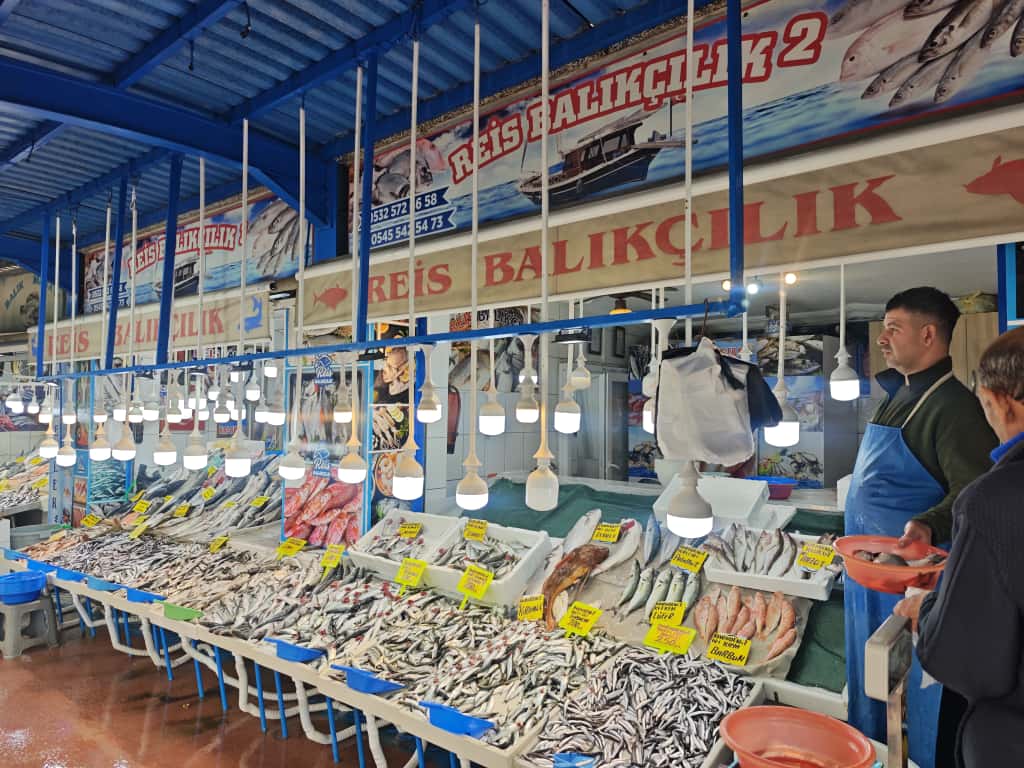 Reis Balıkçılık Balıkesir