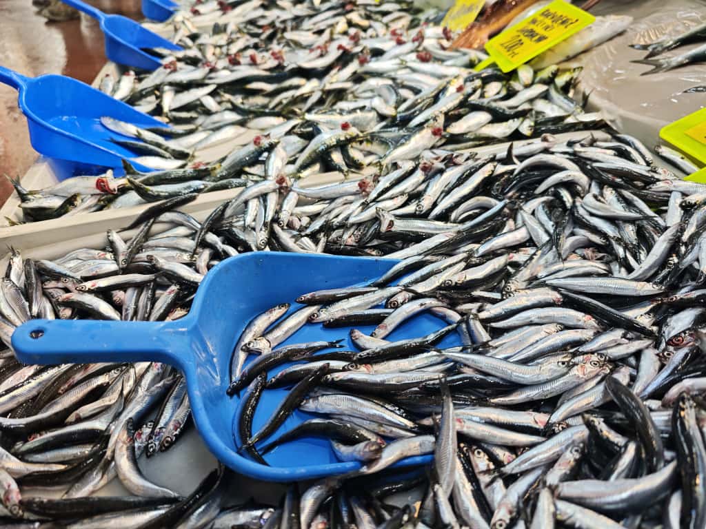 Reis Balıkçılık Balıkesir