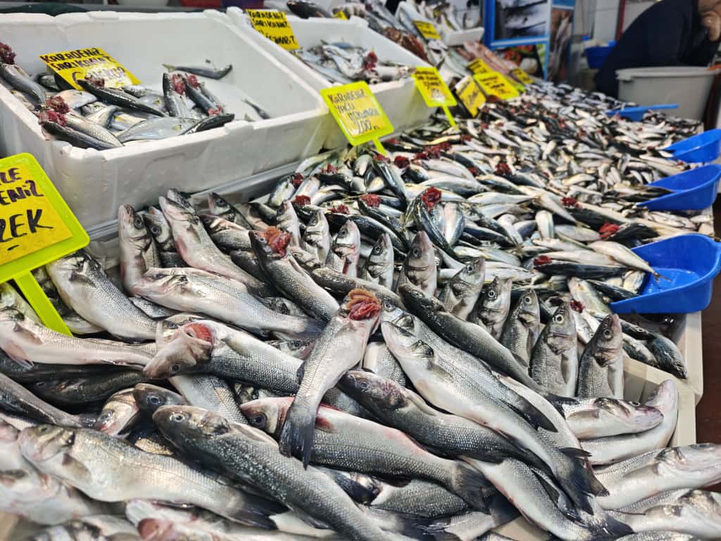 Reis Balıkçılık Balıkesir