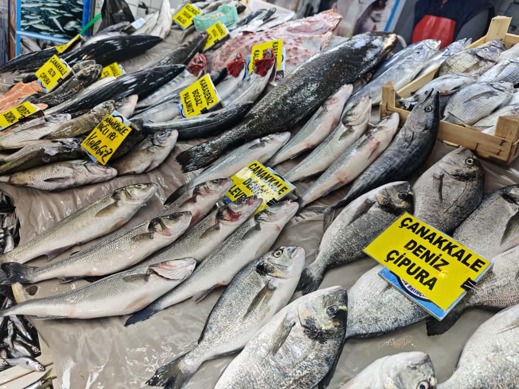 Reis Balıkçılık Balıkesir