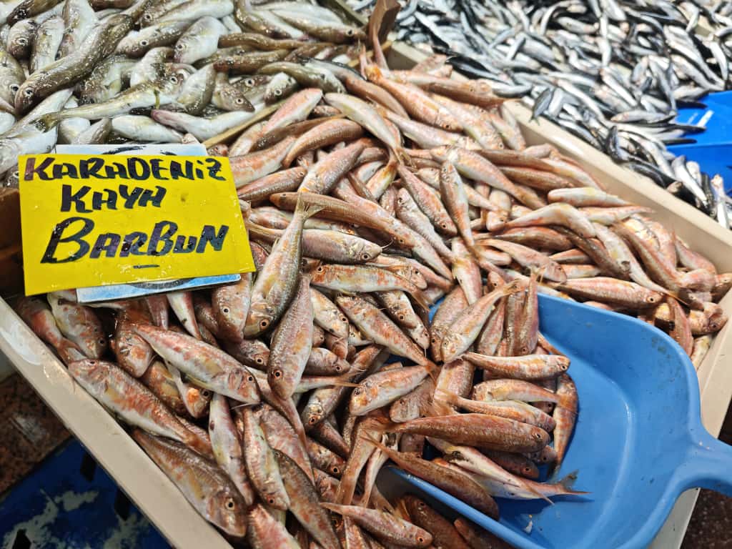 Reis Balıkçılık Balıkesir